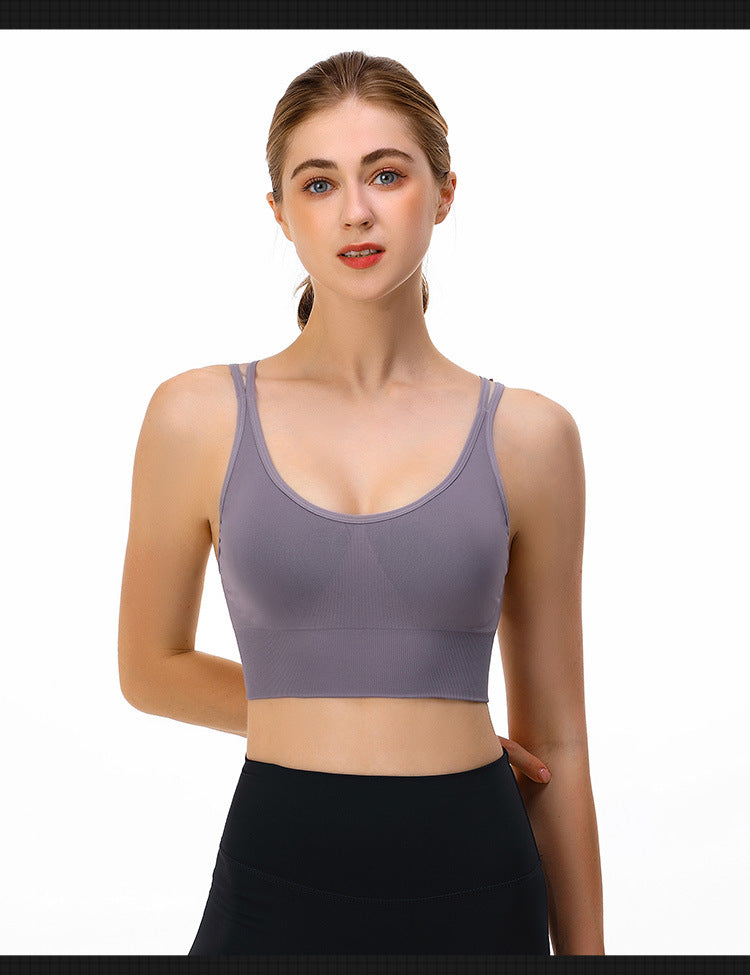 Eternal Sports Bra - Luxe Lavender