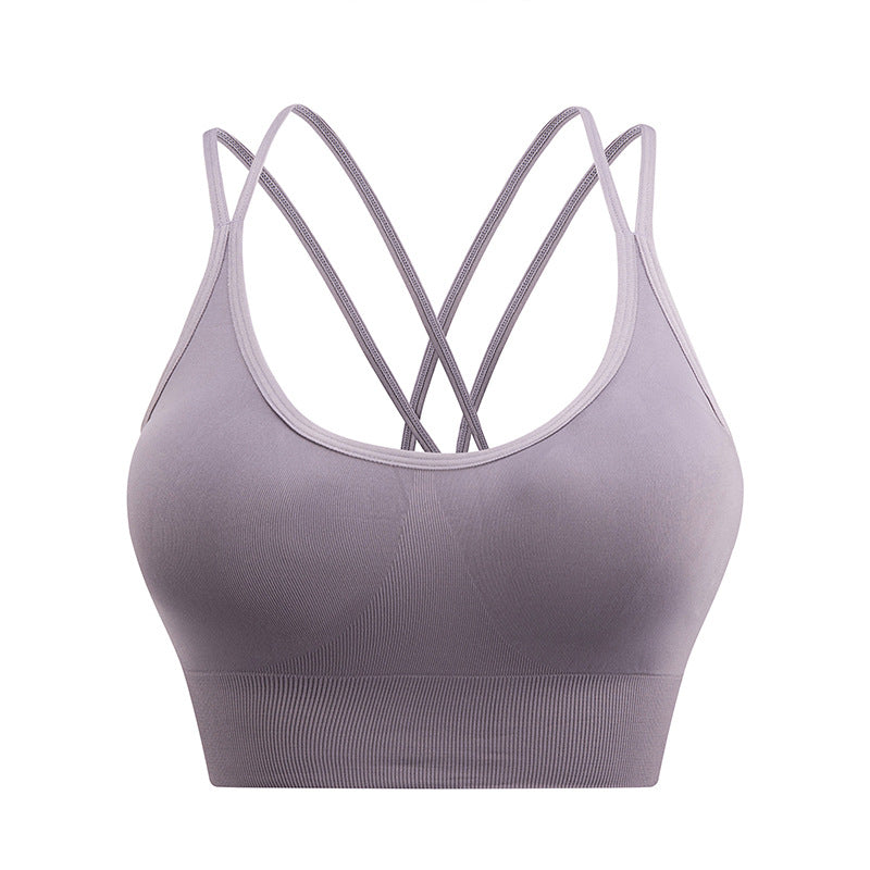 Eternal Sports Bra - Luxe Lavender