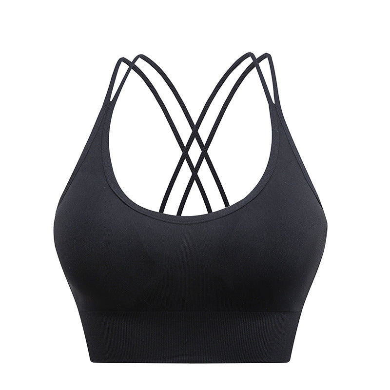 Eternal Sports Bra - Celestial Black