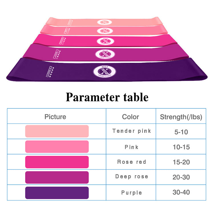Resistance Loop Fitness Bands - Fit Pink Set